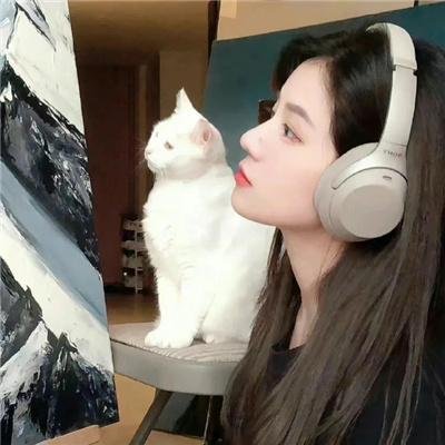往哪跑